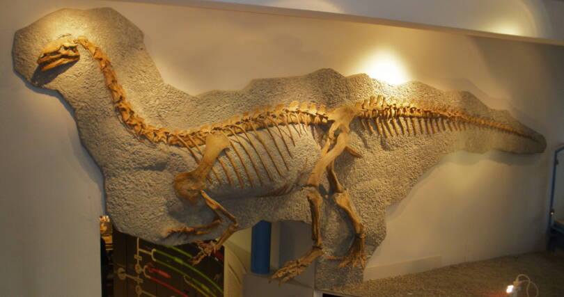 plateosaurus_frick_creative_common_picture.jpg