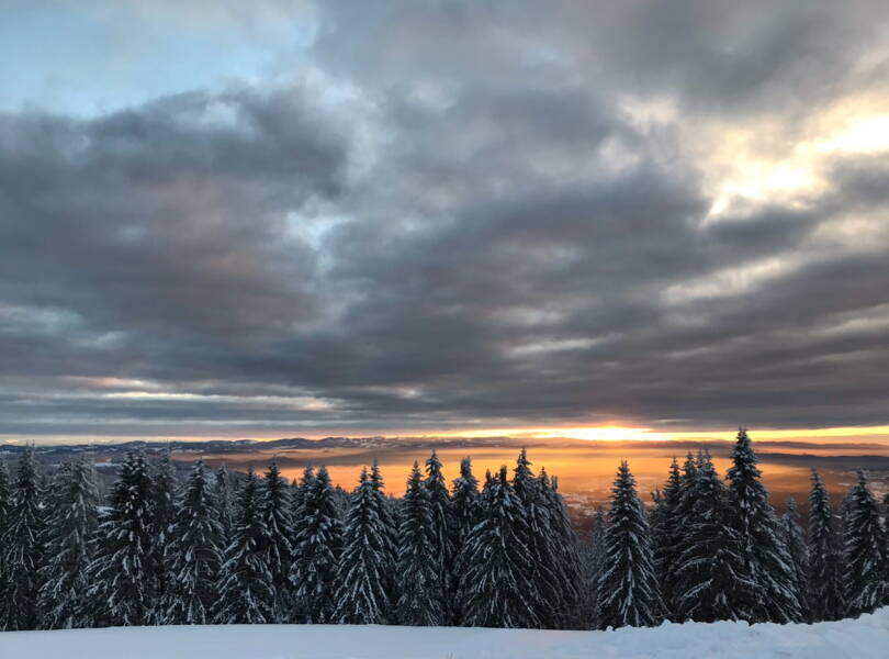 23_platz21.jpeg 23_platz21.jpeg